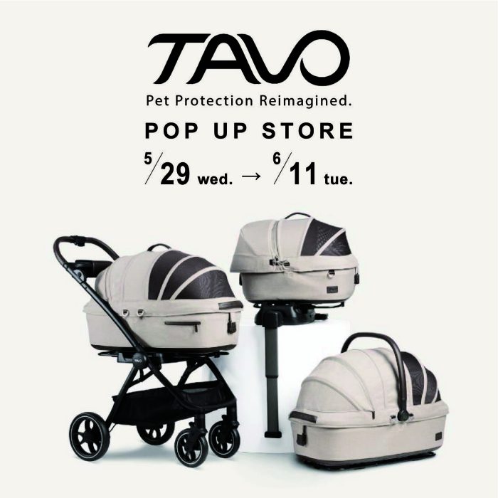 <TAVO>POP UP STORE  
